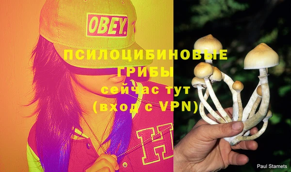 тгк Богданович