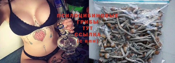 тгк Богданович