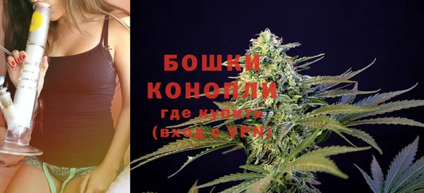тгк Богданович