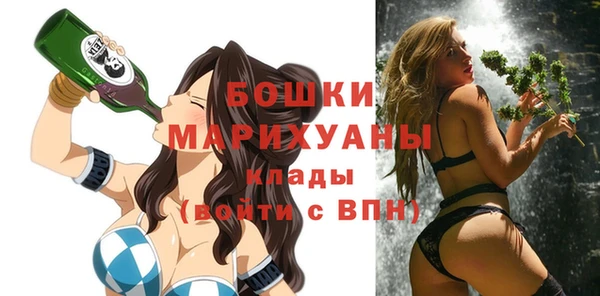 тгк Богданович