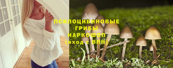 тгк Богданович